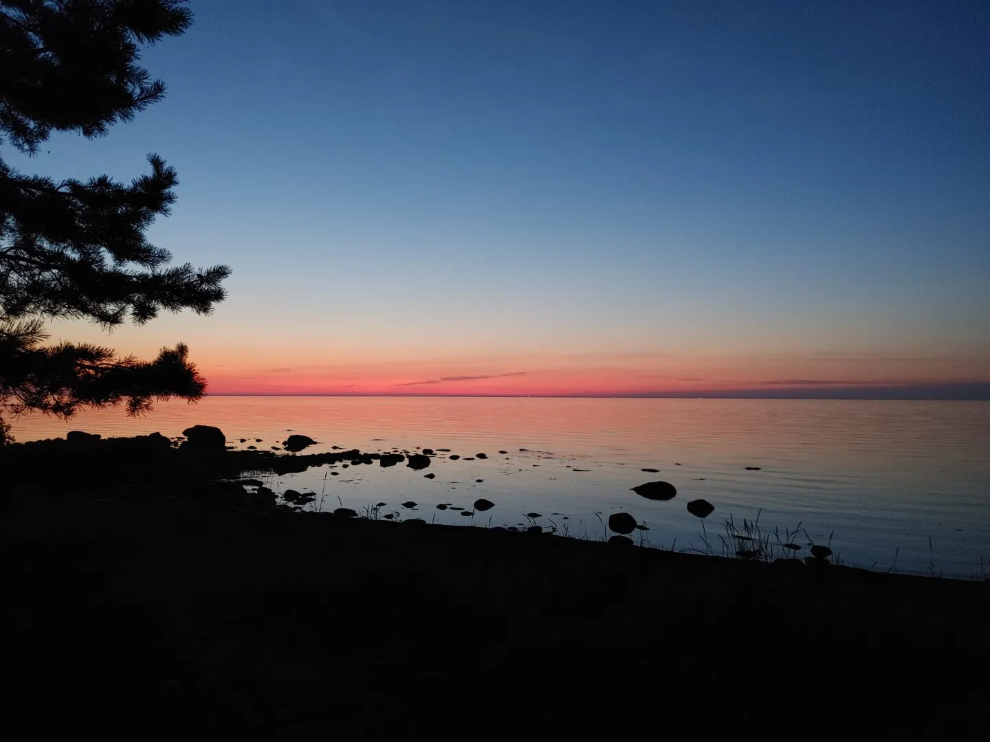 Pedassaare, Estonia. July 2025.