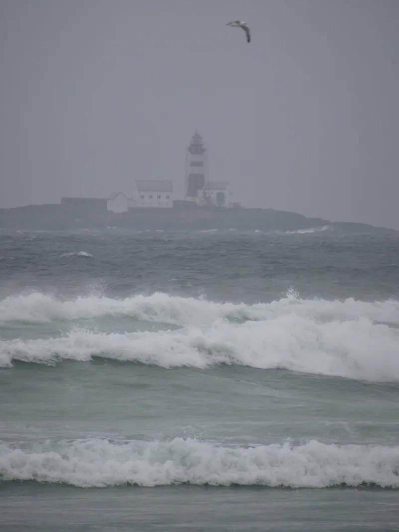 Bore strand, Kleppe, Norway. March 2026.