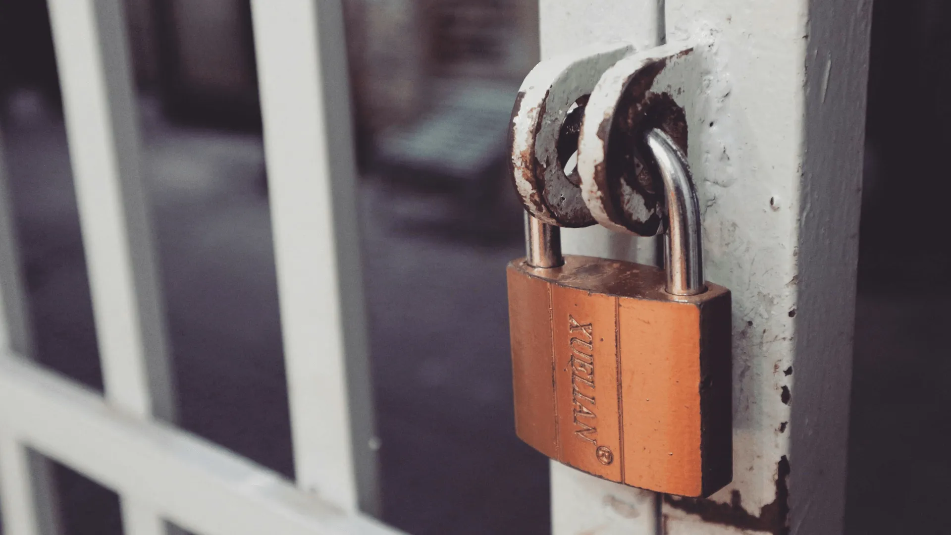 A metal gate that is closed securely with a sturdy padlock